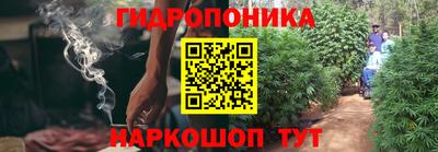 МДПВ Усть-Илимск