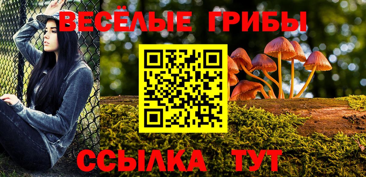 Псилоцибиновые грибы прущие грибы Воронеж