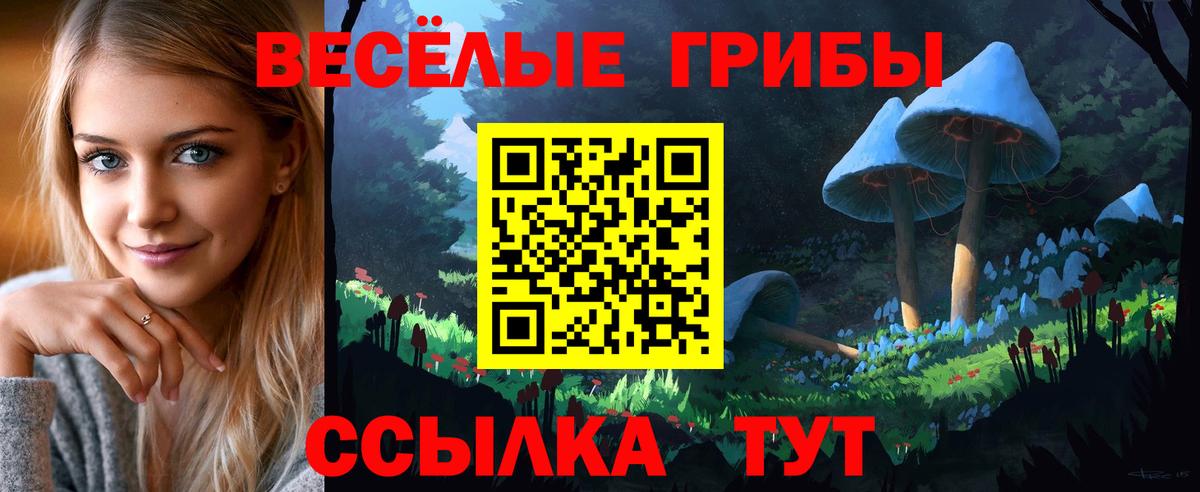 Воронеж  Галлюциногенные грибы прущие грибы  Вход с VPN 